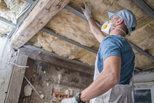 Soundproof Insulation Installation in Wapello, IA