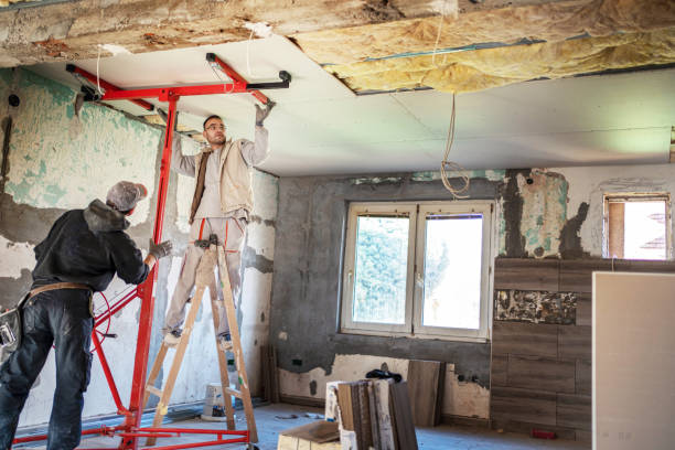 Best Insulation Replacement Services  in Wapello, IA